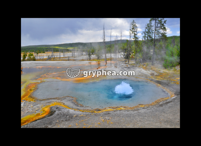 Firehole Spring (Yellowstone NP, USA) - gryphea.org